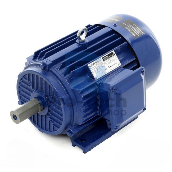 Електродвигател 3.0kW 1420rpm 380V 10366