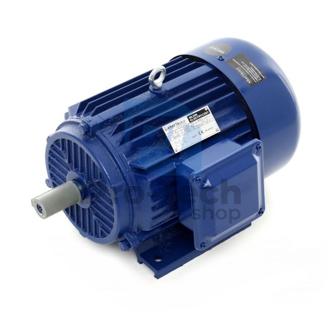 Електродвигател 4.0kW 2880rpm 380V 10369